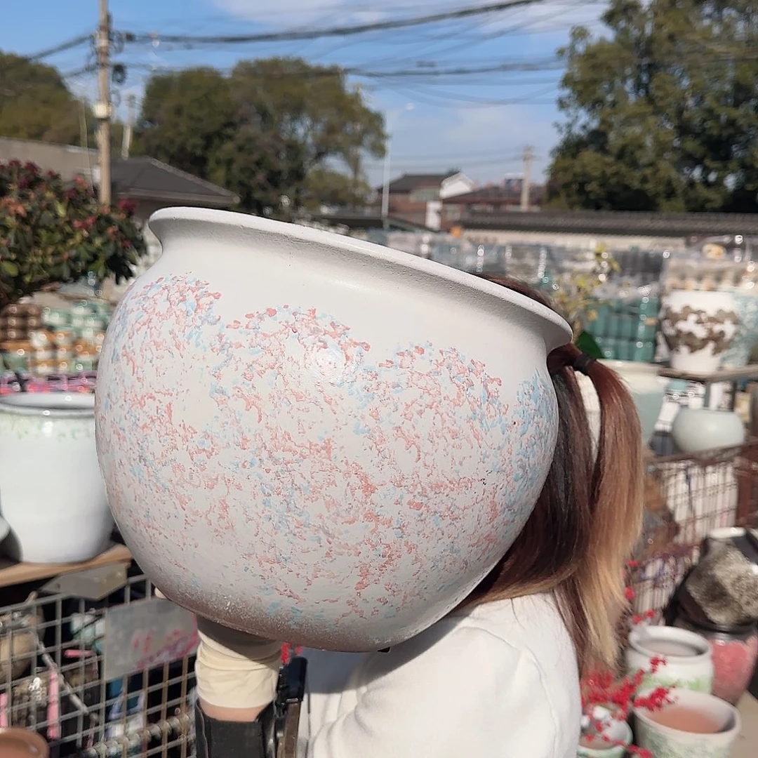 王嫂花盆直播1130-458高25口30