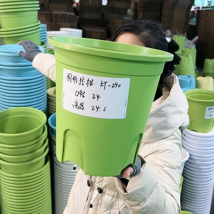 正品圆控口24高24果绿带托8只