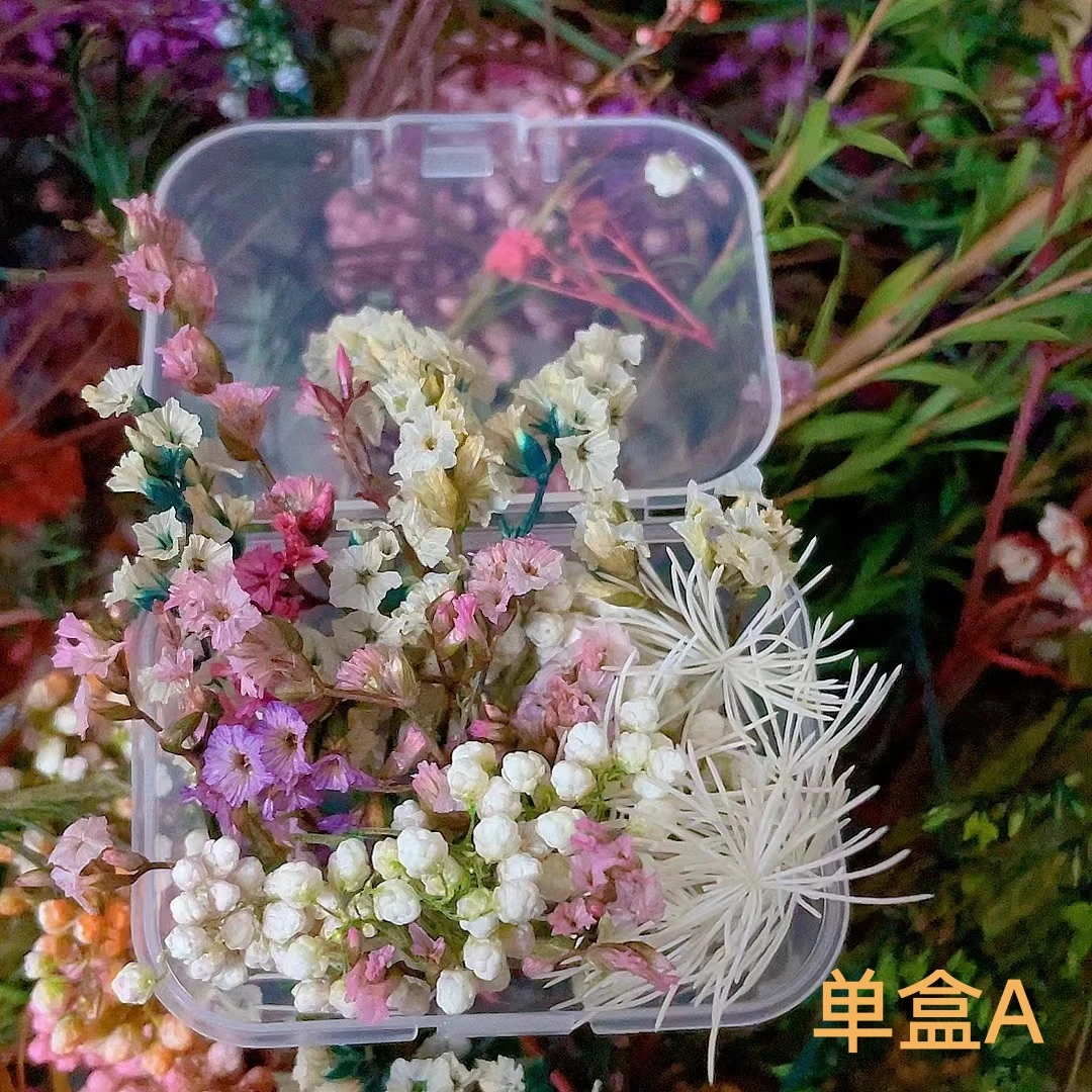 美甲干花素材盒永生花材料包diy相框手工滴胶美甲穿戴甲干花饰品