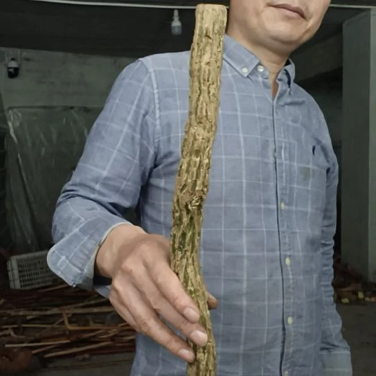 稳定木哈*高山 檬子木文玩料