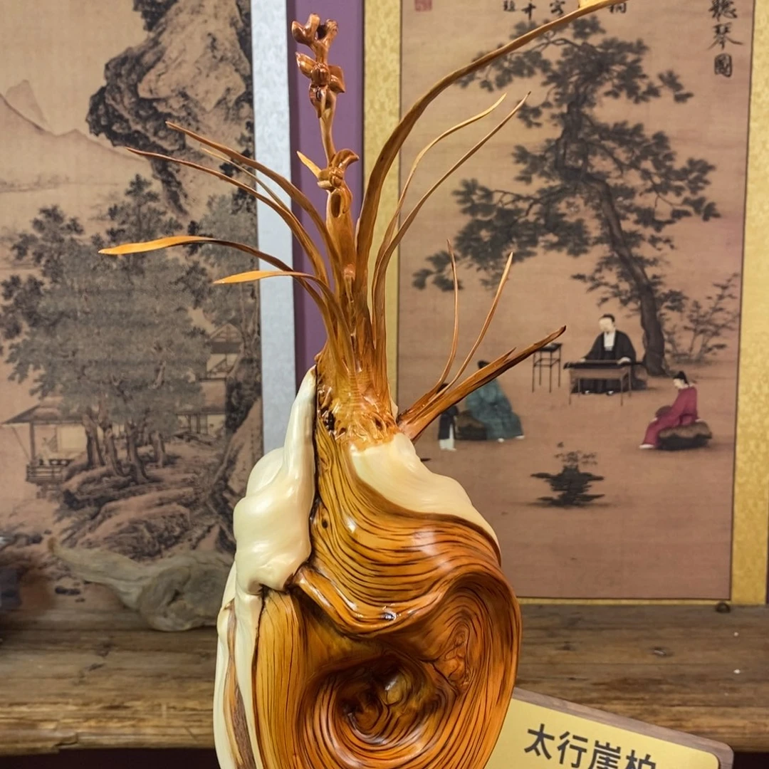 柏木（崖柏）崖柏11111