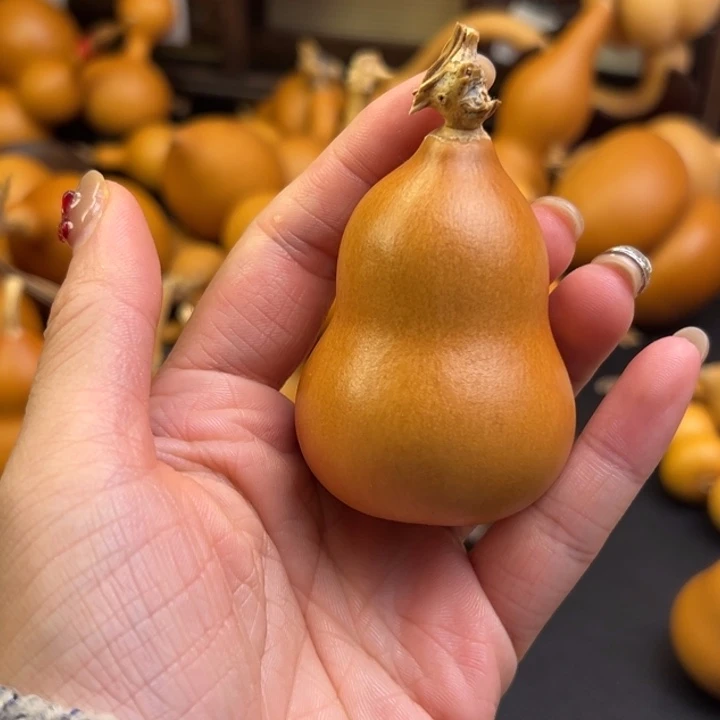 安**光葫芦葫芦葫芦葫芦葫芦