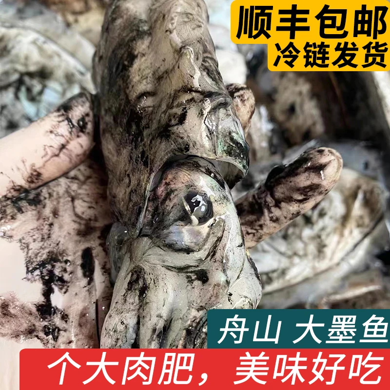 舟山大墨鱼新鲜速冻墨鱼仔超大鲜活冷冻目鱼乌贼花枝海鲜水产生鲜
