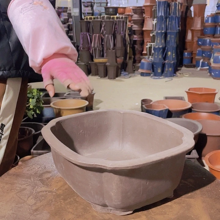 紫砂花盆花盆30海棠