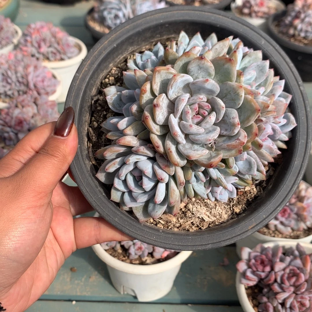 哈哈哈哈哈哈哈24