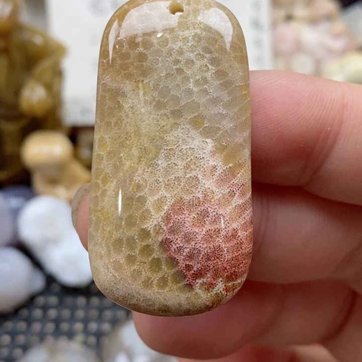 颈饰未镶嵌硅化珊瑚（珊瑚玉）小