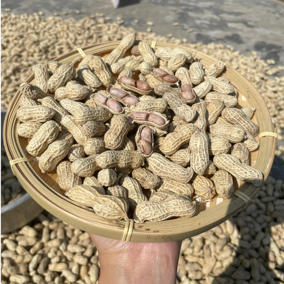 【农家靓货】农家咸干花生