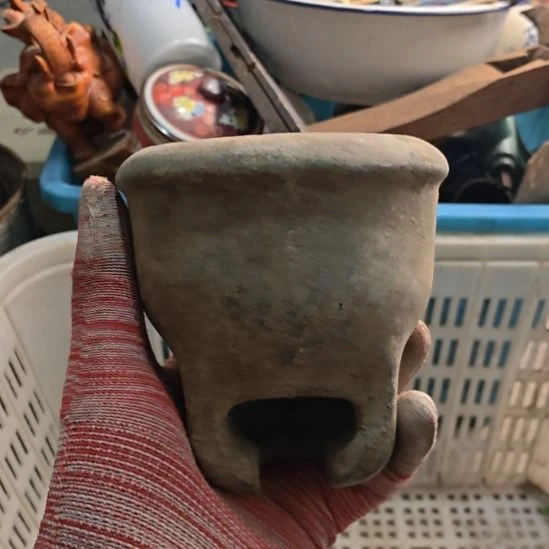 宛***粤衣服啊啊啊啊啊啊啊啊