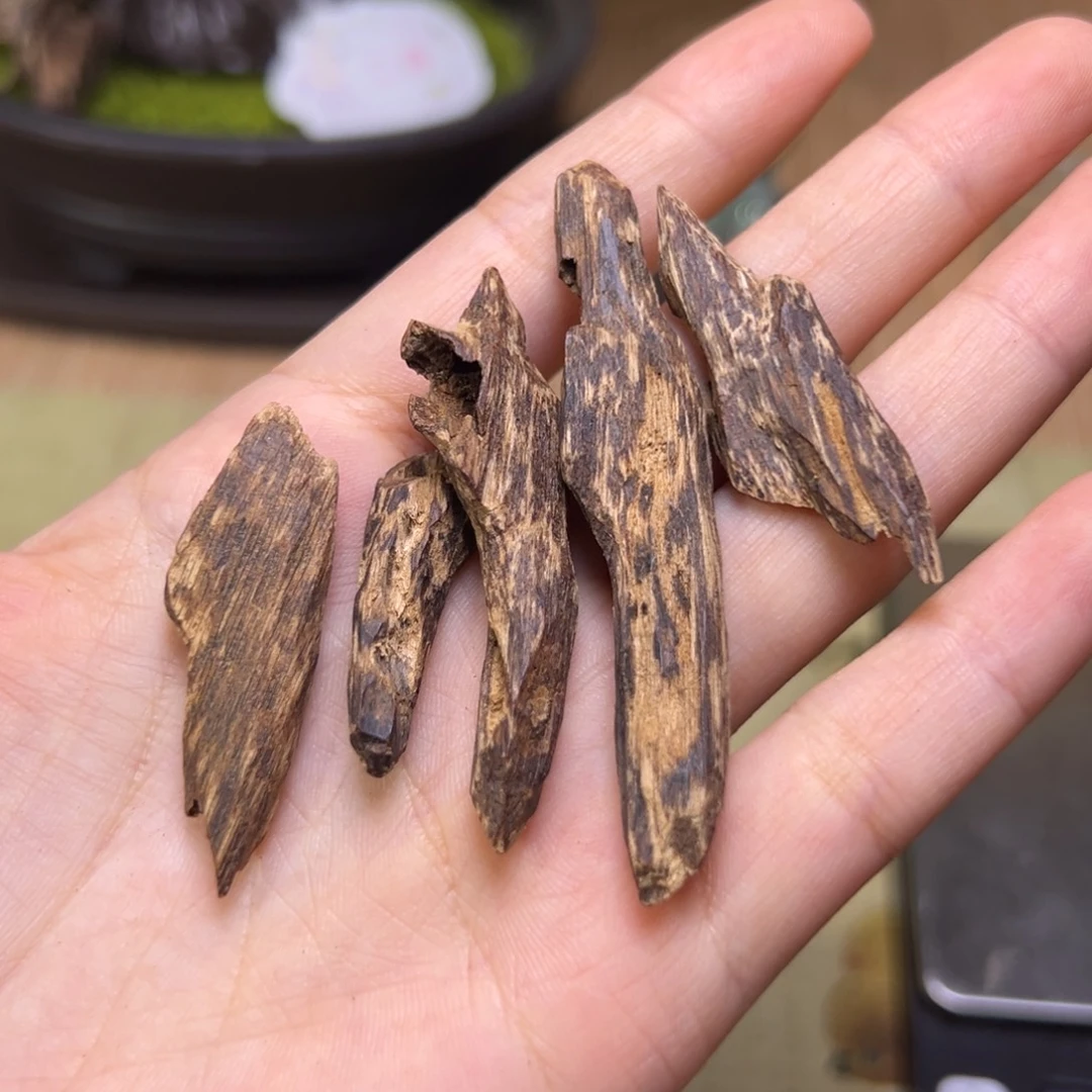 香榧木海南木料沉水70年代糖结牙沉5克