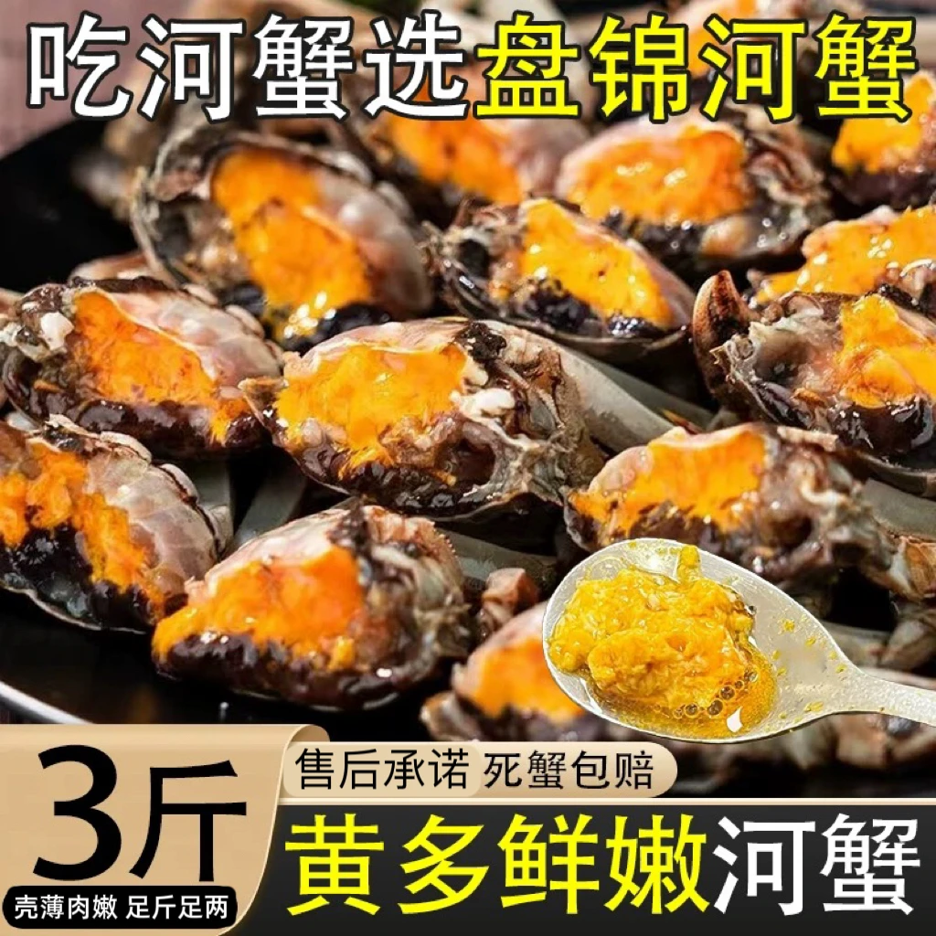 【活蟹】盘锦河蟹公蟹0.8-1.1两3斤 省外包邮