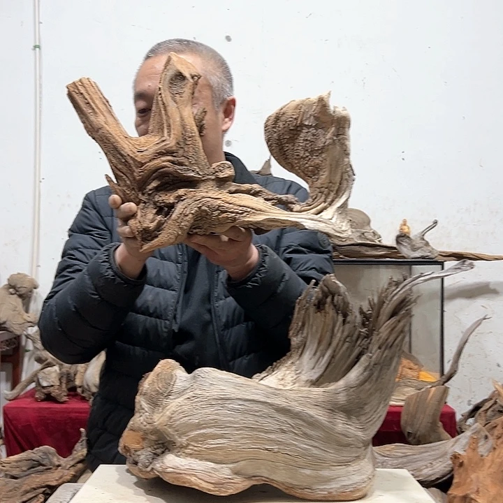 柏木青*&我们的生活也是如此