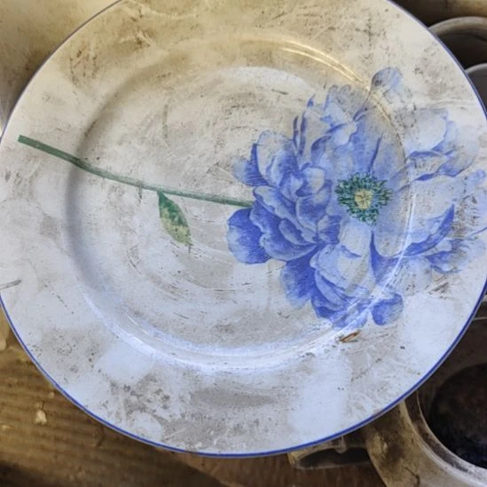 瓷平盘口径19…………