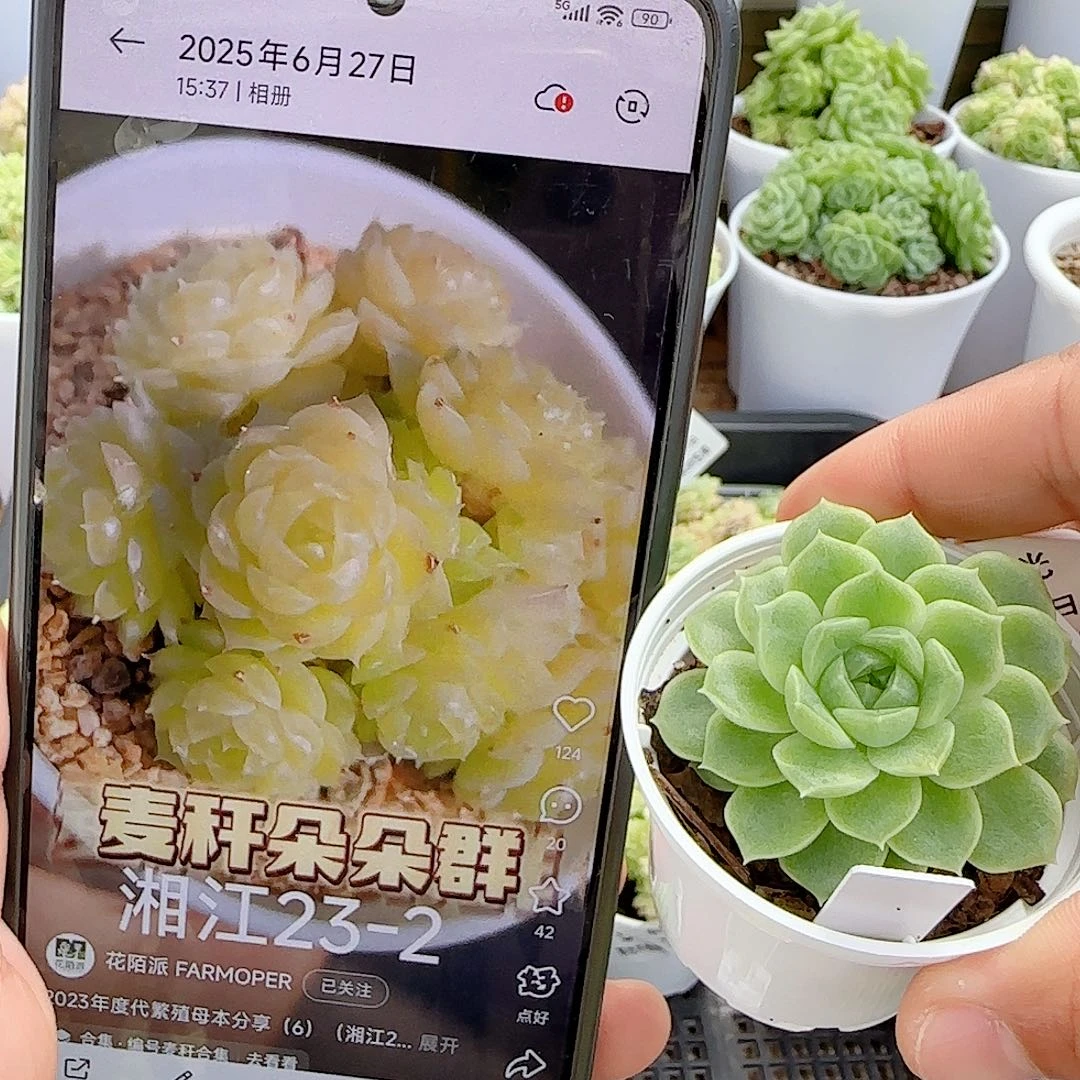 晴***情【闪购商品】0717-12（湘江23-2）