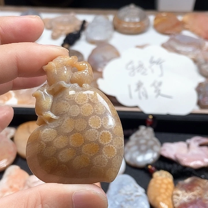颈饰未镶嵌硅化珊瑚（珊瑚玉）