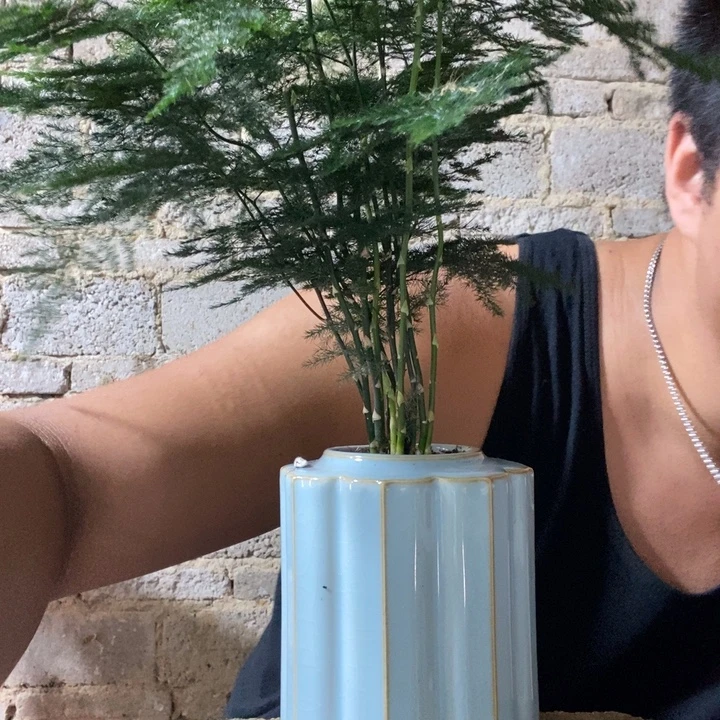 完全开放退款拉黑一物一拍207