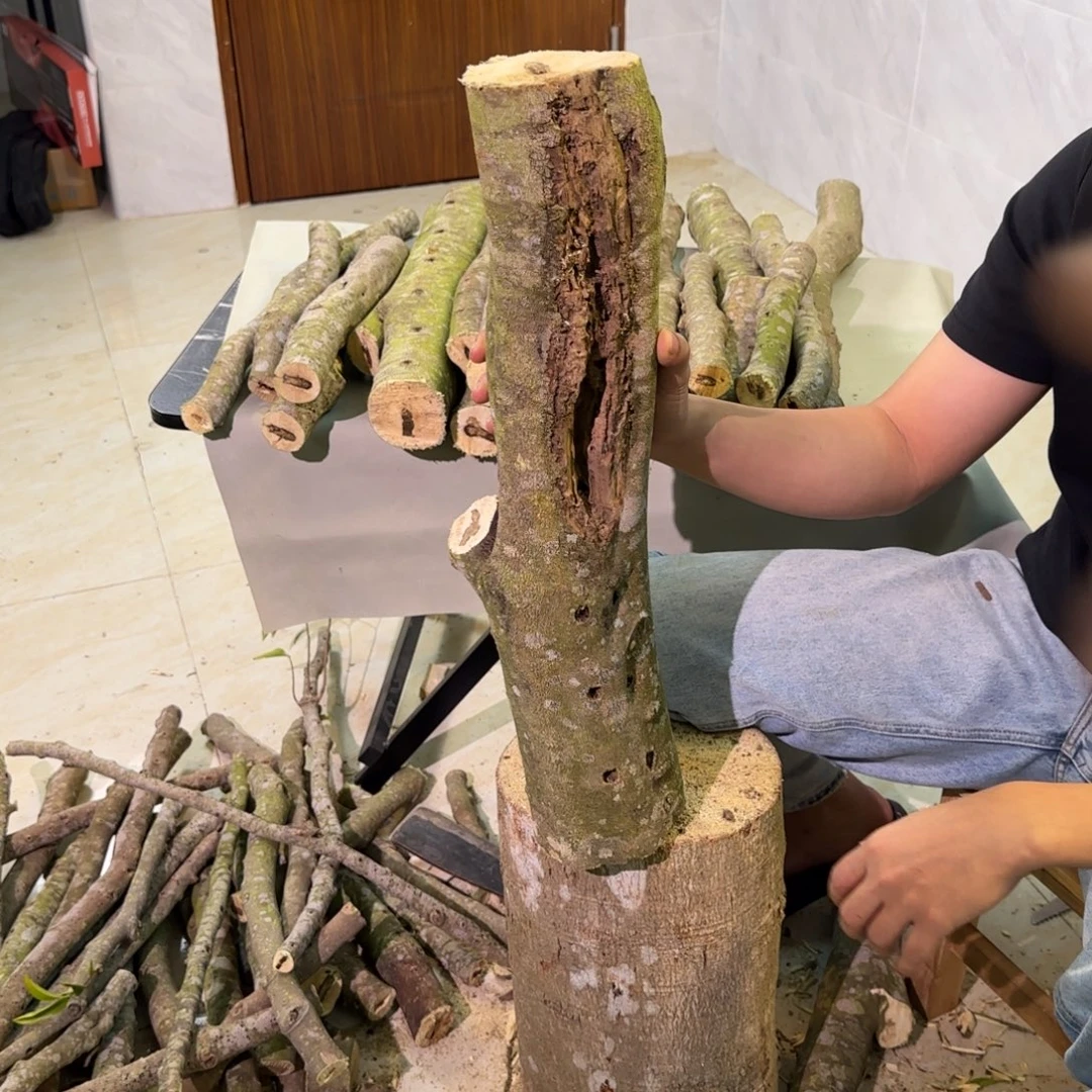 沉香沉香碎屑沉香木原材料