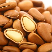 新货开口松子特大颗粒特产坚果零食原味袋装批发