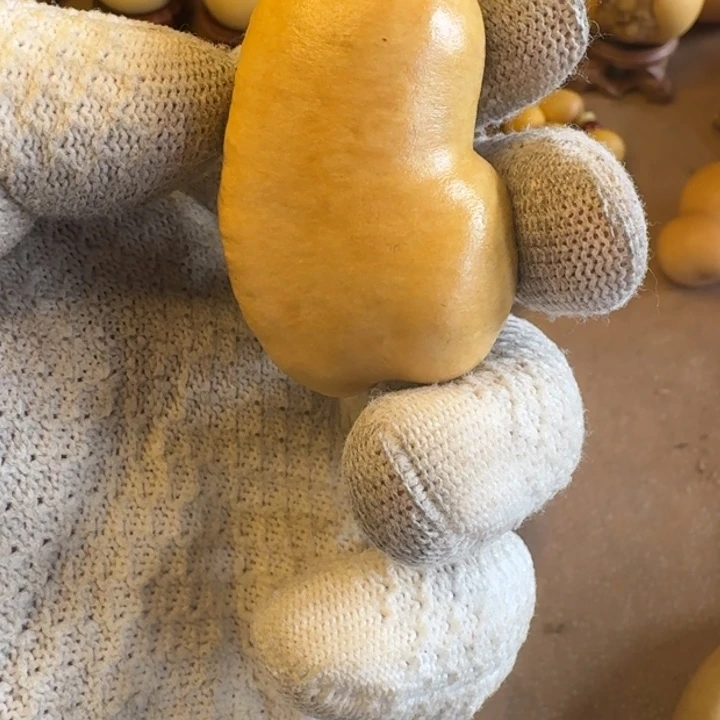 戰***丸葫芦11111111111111