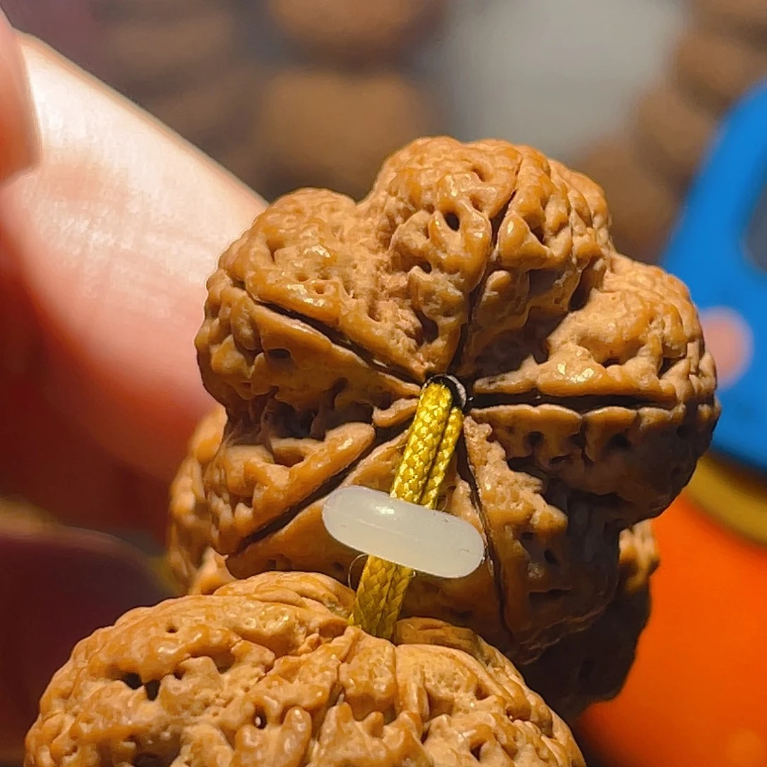 金刚菩提手串29/30梅花【龙牙】