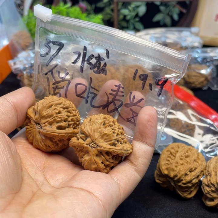 文玩核桃把件爱****_水龙子