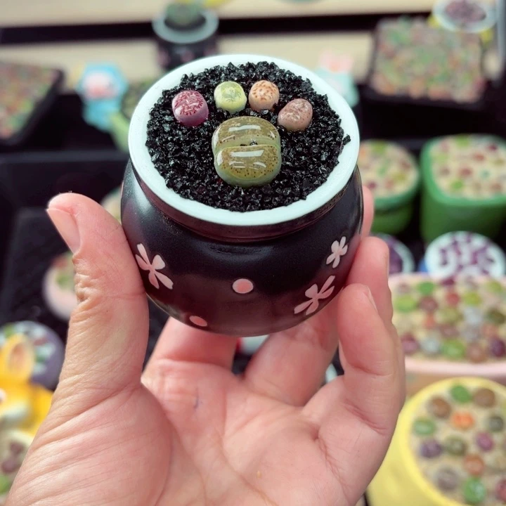 2010零下地区记得拍保温箱