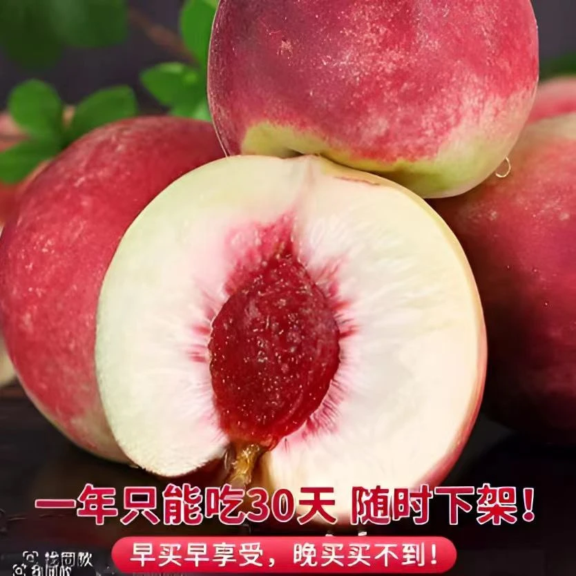 云南冬桃新鲜水果脆甜鲜果大理产地现摘应季离核蜜桃