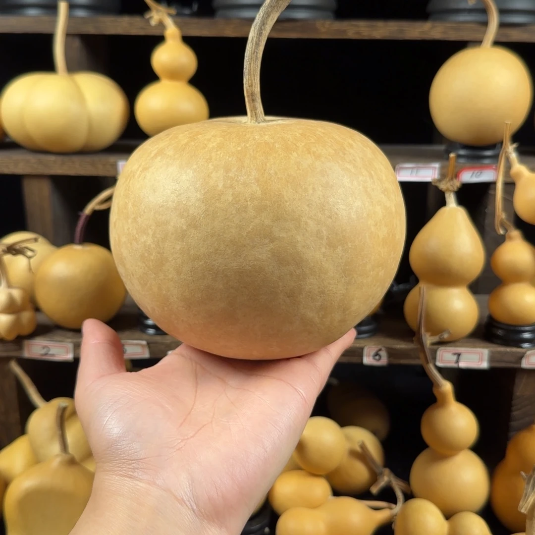 1***_葫芦葫芦葫芦葫芦葫芦葫芦