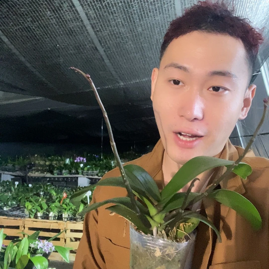 无花朵蒙彼利埃福利