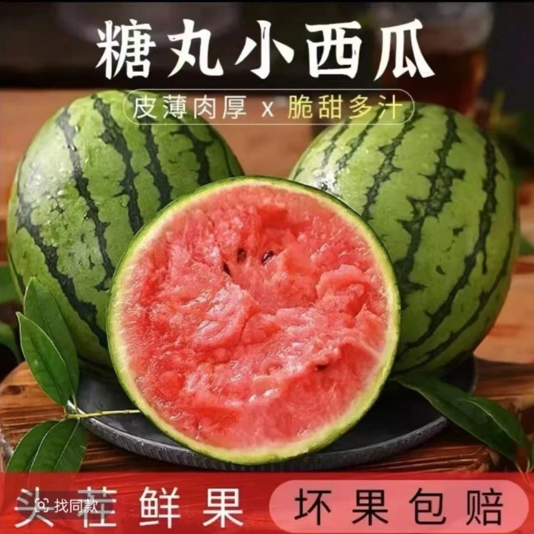 砀山手撕小糖丸早春红玉麒麟西瓜当季新鲜薄皮脆甜多汁水果