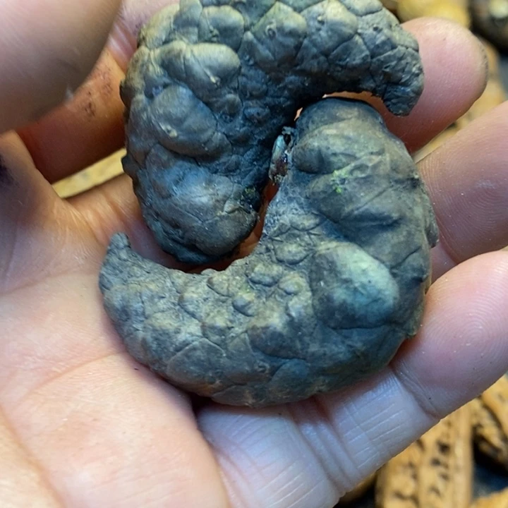 吊坠桃核娜姐半真的117