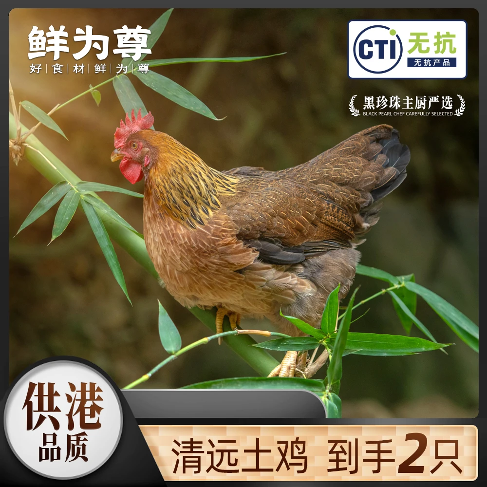 【杨悦卿专属】【两只装】鲜为尊无抗鸡广东清远土鸡深山散养1kg/只*2