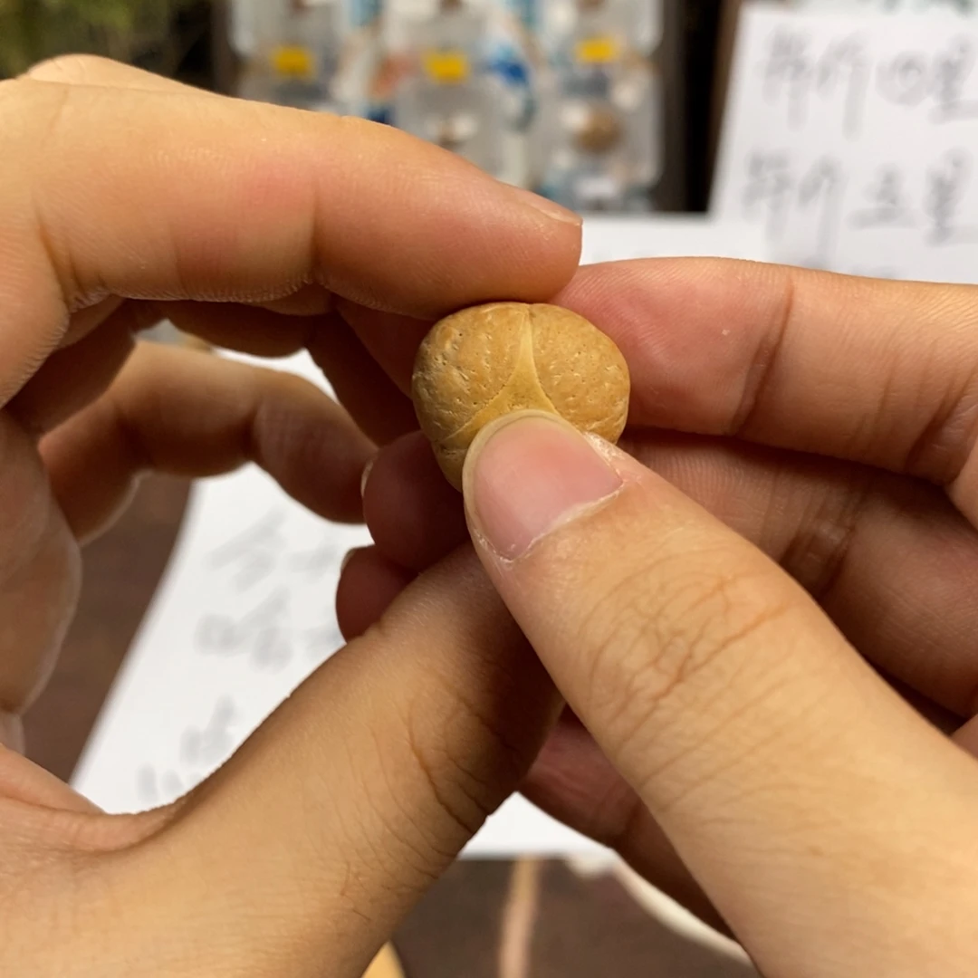 好***门凤眼菩提吊坠18咯健健康康