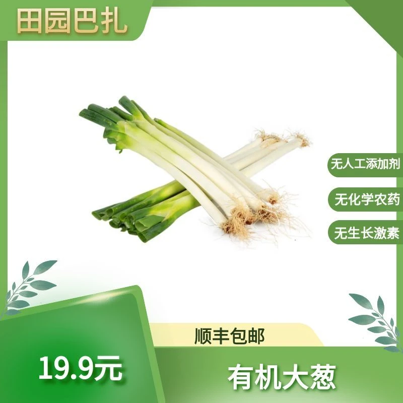【冬储菜】田园巴扎有机大葱