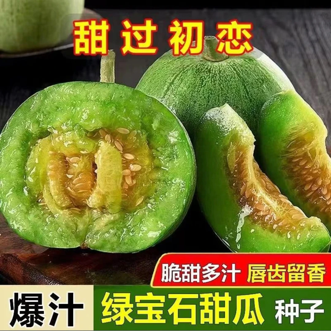 绿宝石甜瓜种子家庭阳台小院盆栽地栽四季种植