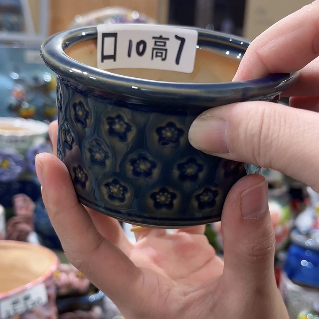 【闪购商品】红陶福利