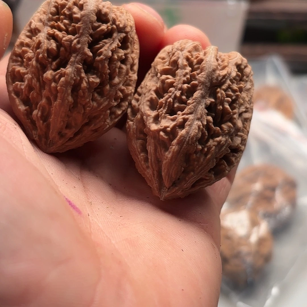 文玩核桃把件小蛙蛙150