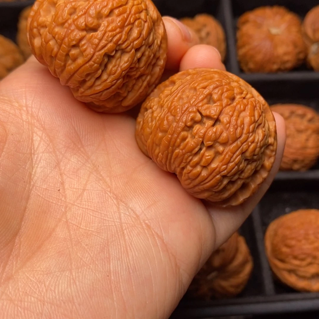 文玩核桃把件秦岭野生核桃