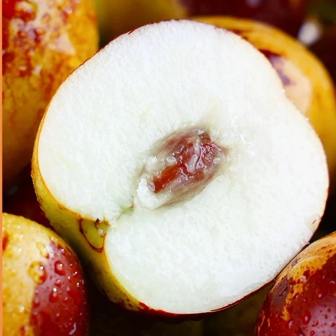 【山西临猗冬枣】不踩坑的冬枣当季新鲜水果脆甜多汁一口vs嘎嘣脆