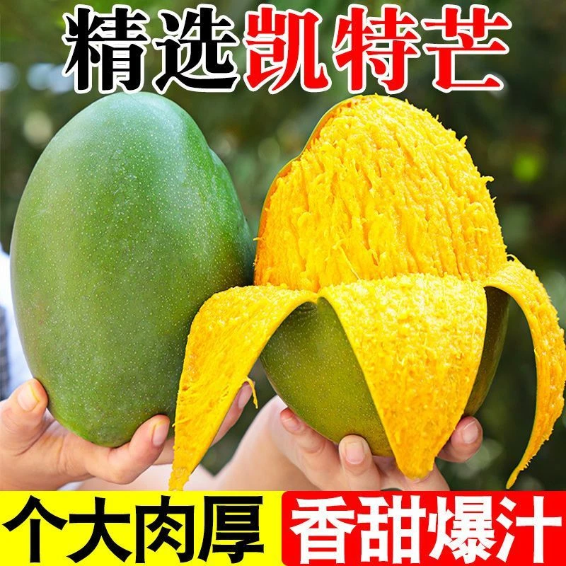 【H正宗凯特芒】新鲜凯特芒青皮凯特大芒果香甜软糯多汁当季现摘