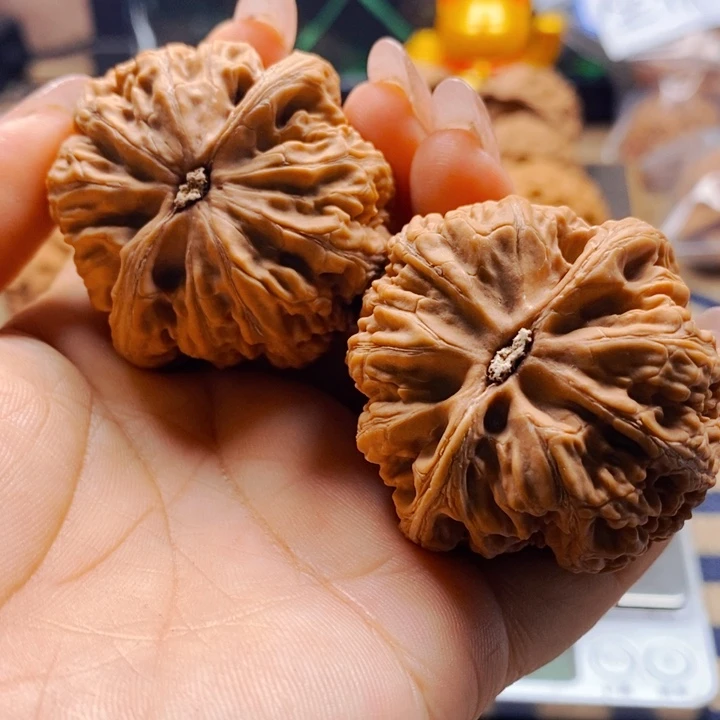只***苗把件文玩核桃粗筋