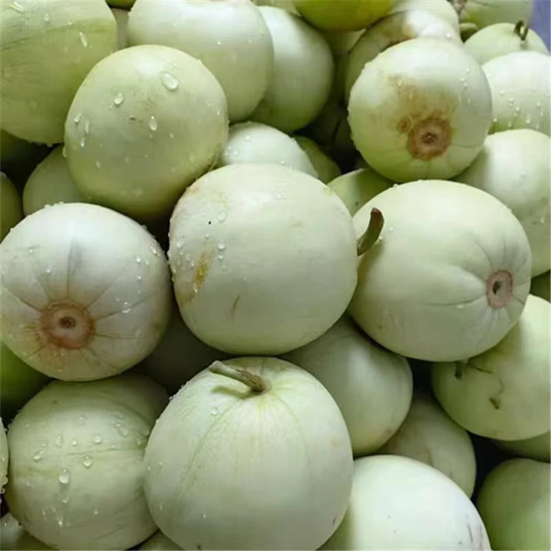 （顺子代销）武宁乡下小甜瓜当季新鲜脆甜梨瓜小香瓜蜜瓜