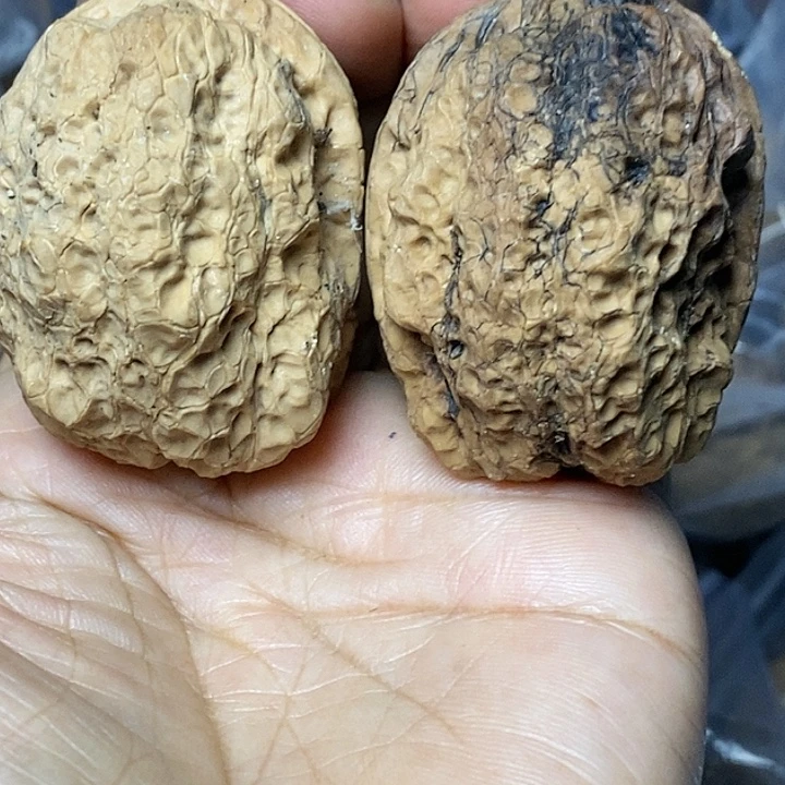 把件文玩核桃云南铁核桃60