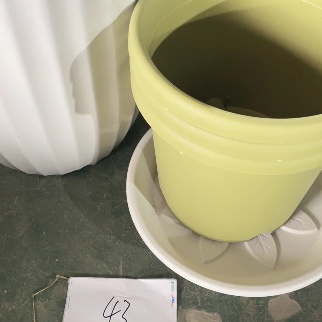 编号是43号的43号的