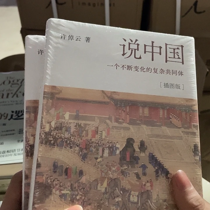说中国：微瑕（老版本）