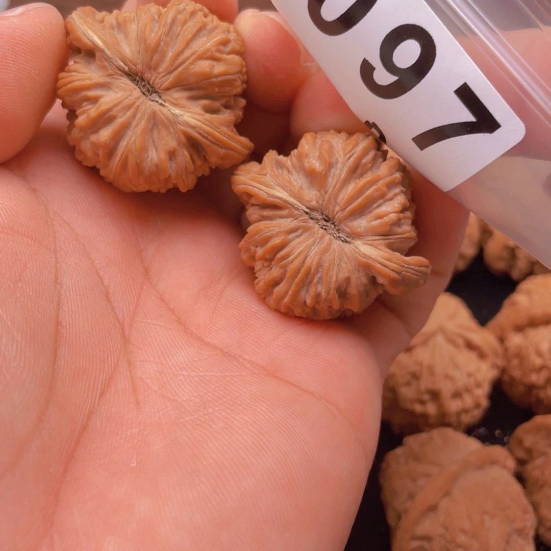 文玩核桃吊坠大*娄子