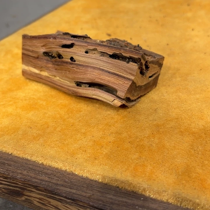 龚***家柏木（崖柏）崖柏等自然景区的景