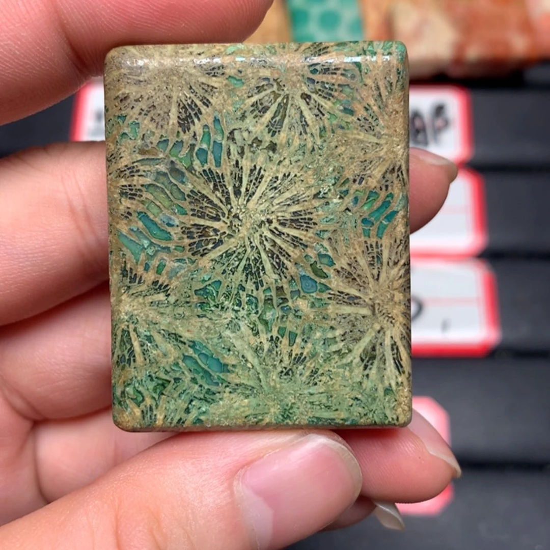 【闪购商品】硅化玉颈饰合金孑*