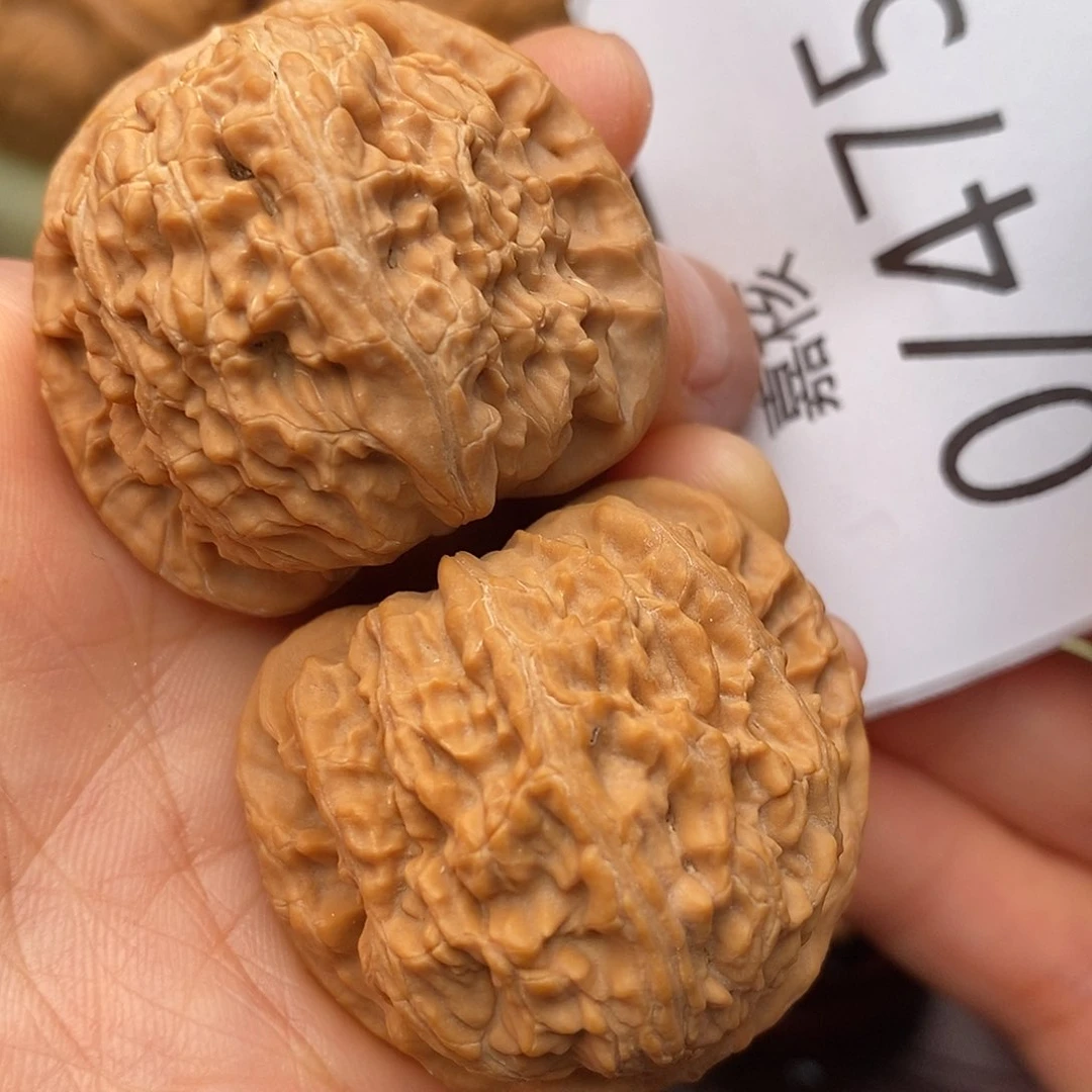 文玩核桃把件38白狮子