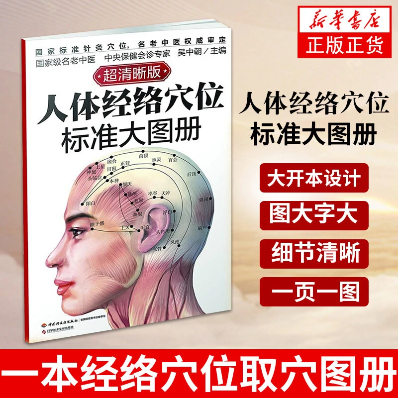 正版 超清晰版人体经络穴位标准大图册 人体穴位图解大全书