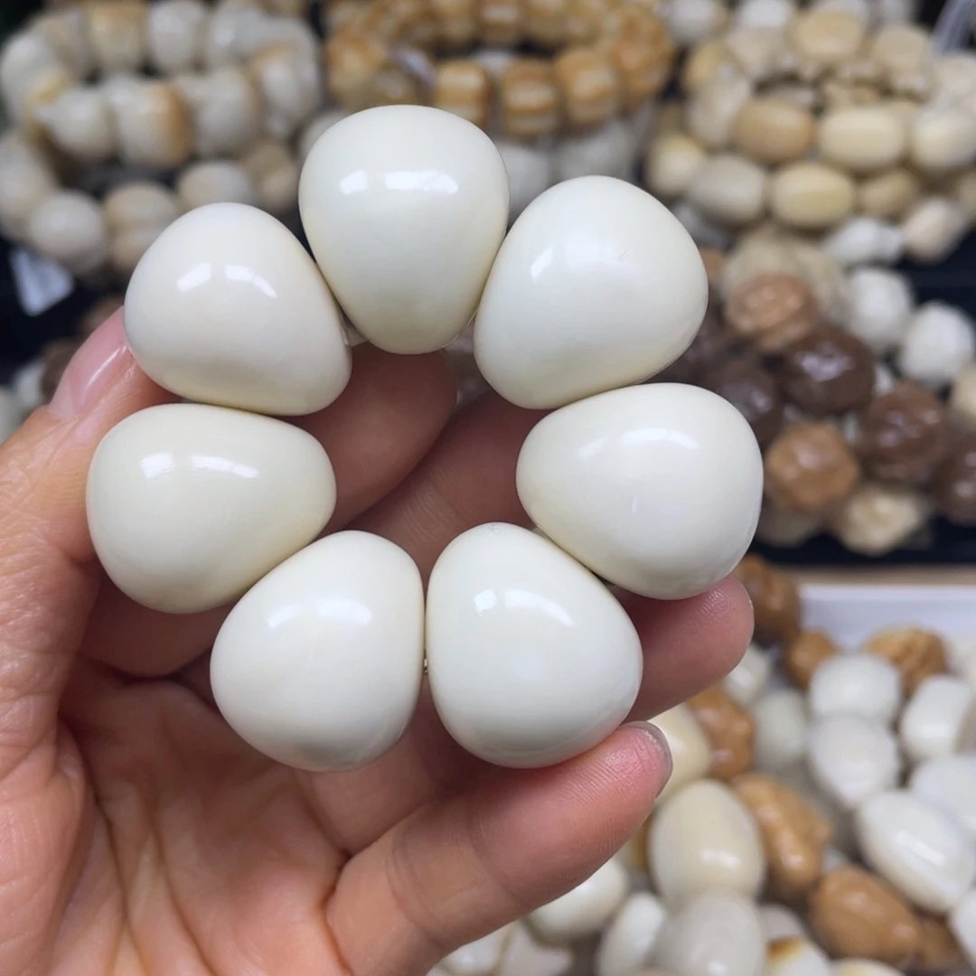 手串菩提根/象牙果12.3049